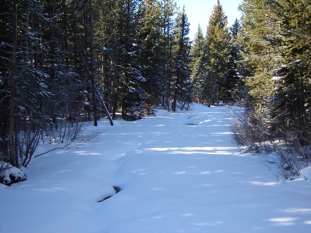 December 30, 2006 004